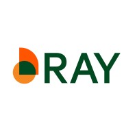 Ray Energia logo - Similar company to Electrosis