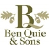 BEN QUIE & SONS LLC logo - Similar company to Intent Built, Inc.