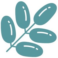 Oasis Center for Interventional Psychiatry, Inc. logo - Similar company to Peak Interactive Wellness