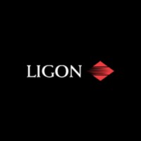 Ligon Permanent Mold Group logo - Similar company to Daltech Engineering Private Limited