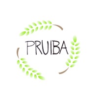 Pruiba Provisions Llc