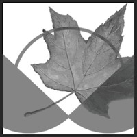 Canadian Centre for Policy Alternatives logo - Similar company to Springboard Policy