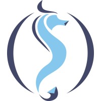 KIVI Offshore Technology logo - Similar company to First Steps Recruitment