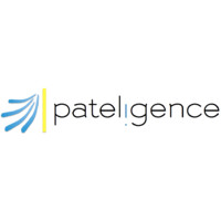Pateligence LLC logo - Similar company to Evoa.Ai