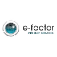 e-factor