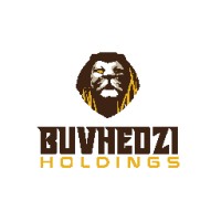BUVHEDZI HOLDING logo - Similar company to Vision Security & Communications