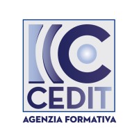 CEDIT logo - Similar company to Cedit - Centre For Digital Transformation