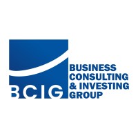 BCIG - Business Consulting and Investing Group logo - Similar company to Blends Ltd.