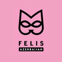 Felis Azerbaijan logo - Similar company to Duolution Studio