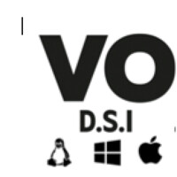 VO DSI logo - Similar company to Alternative Search