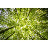 International Energy Insurance Brokers logo - Similar company to Parhelion Underwriting Ltd