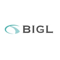 BIGL Vietnam logo - Similar company to 3D Smart Solutions