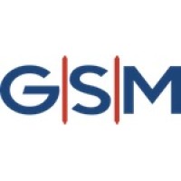 Game Sports Media logo - Similar company to Zig Marketing
