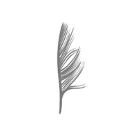 Feather Creative logo - Similar company to Fond Group Email Consulting