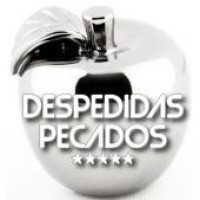 www.despedidasboys.com logo - Similar company to Ramsell Ventures