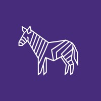 The Zebra Store logo - Similar company to Transcend Multimedia