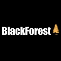 Blackforest Global Management logo - Similar company to Founder X Vc