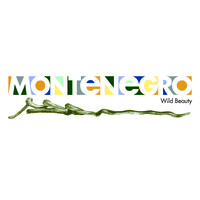 National Tourism Organisation of Montenegro logo - Similar company to Brands Connected