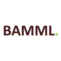 BAMML logo - Similar company to Dfs Global