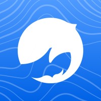 Whale logo - Similar company to Playframes