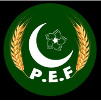 Pakistan Economic Forum logo - Similar company to Center Of Economic Planning And Development