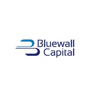 BLUEWALL CAPITAL LTD logo - Similar company to Blavatnik Len