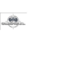 Caldepar logo - Similar company to Caldersán