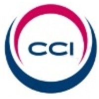 Curso Contador Independente logo - Similar company to Viver De Contabilidade