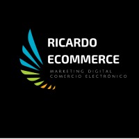 Ricardo Ecommerce Asesor de Marketing Digital logo - Similar company to Roig Digital