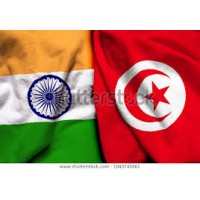 INDIA TUNISIA BUSINESS COUNCIL logo - Similar company to Neibc Northeast India Business Council, Inc.