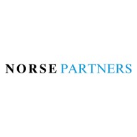 Norse Partners, LLC logo - Similar company to Mimir Consulting
