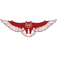 Annfelca Seguridad logo - Similar company to Sonaki
