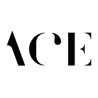 Artists Creating Entertainment logo - Similar company to Remote Multifamily Investing Academy
