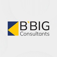 BBig Consultants logo - Similar company to Data Dock