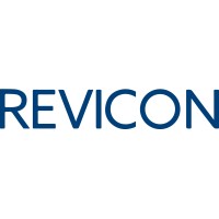 REVICON CONSULTING GmbH logo - Similar company to Revicon