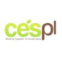 CESPL CONSULTANTS PRIVATE LIMITED logo - Similar company to Simpidea Pvt.