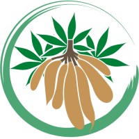 NguyenStarch - Vietnam Tapioca Starch Manufacturer logo - Similar company to B Sky Native And Modified Tapioca Starch