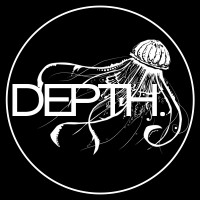 DEPTH. Melbourne logo - Similar company to Link Enterprise Solutions - Link