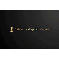 Silicon Valley Strategies LLC logo - Similar company to Genesis Commercial Capital