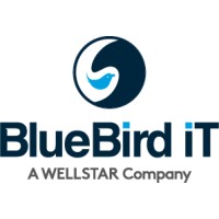BlueBird iT Solutions - A WELLSTAR Company logo - Similar company to Sematec