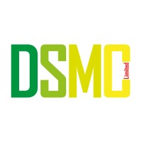 DSMC logo - Similar company to Dcms Llc
