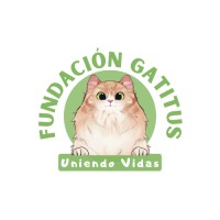 Fundación Gatitus - Uniendo Vidas