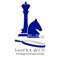 LEVYF logo - Similar company to Mbe México