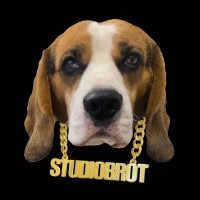 studio brot logo - Similar company to Headraft