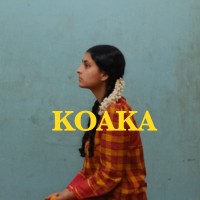 Koaka Collective