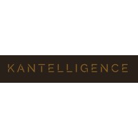 Kantelligence logo - Similar company to Research & Analytics Stats