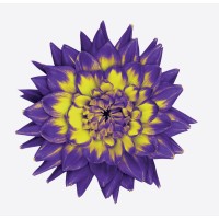 LifeWorks (acquise par TELUS Santé | acquired by TELUS Health) logo - Similar company to Morneau Shepell