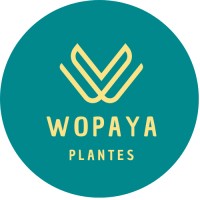 Wopaya logo - Similar company to Kookooning
