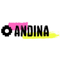 ANDINA DUBAI logo - Similar company to Feeqian - Trading Company