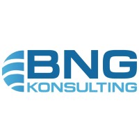 BNG Konsulting logo - Similar company to Spectra Diversity